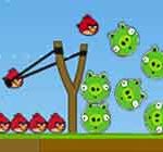 Angry birds bad pigs