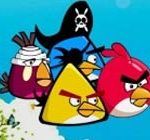 Angry birds counter attack