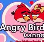 Angry birds cannon